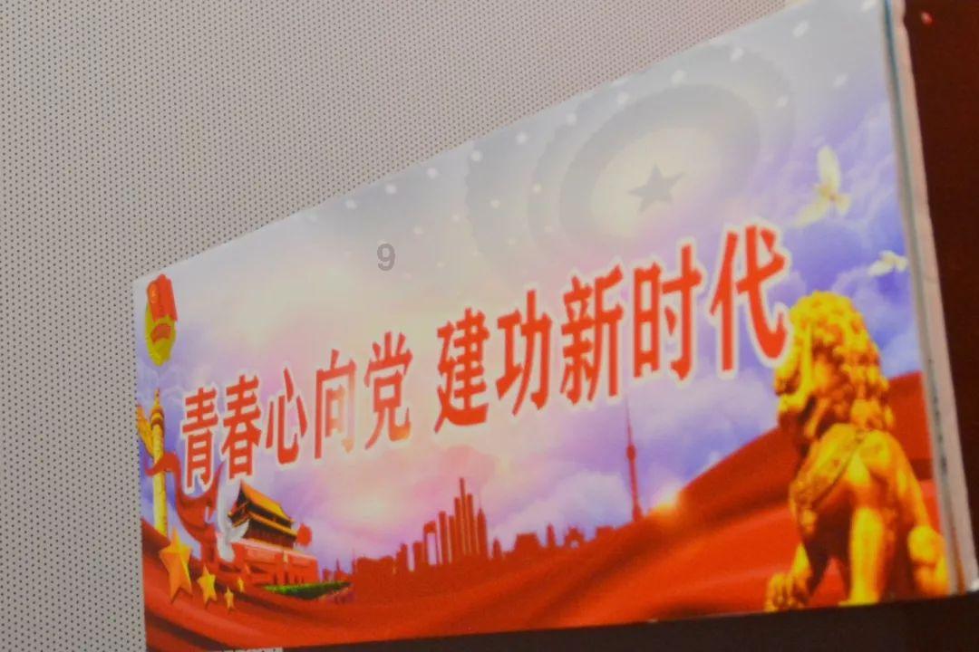 迷你淘气猪逃脱